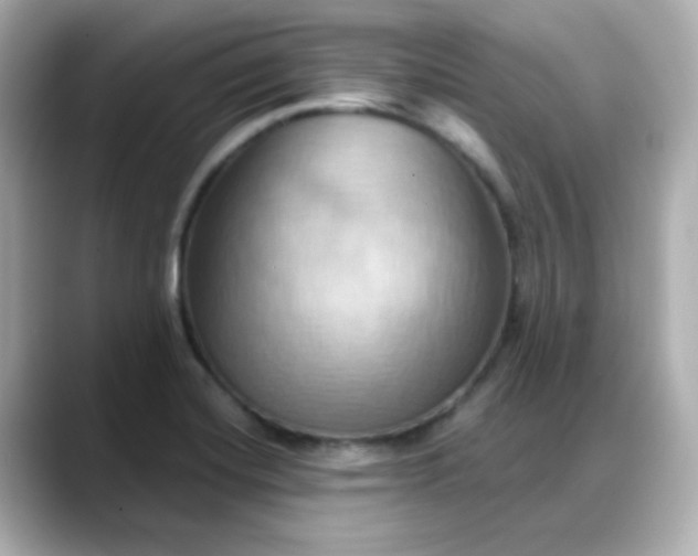 X0000088381420200706051051