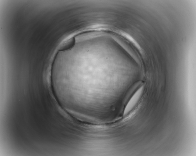X0000088381421200706051051