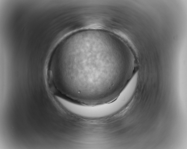 X0000088381422200706051051