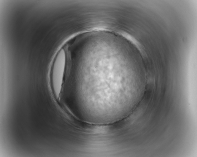 X0000088381423200706051051