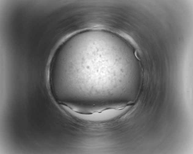 X0000088381424200706051051