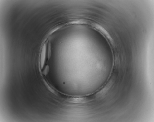X0000088381425200706051051