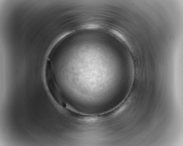 X0000088381426200706051051