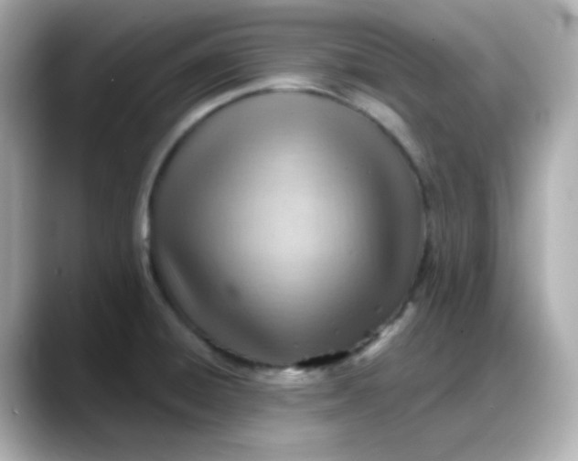 X0000088381428200706051051