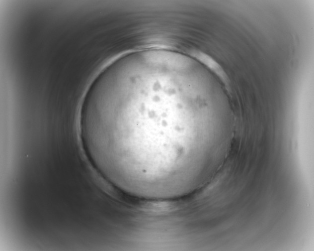 X0000088381431200706051051