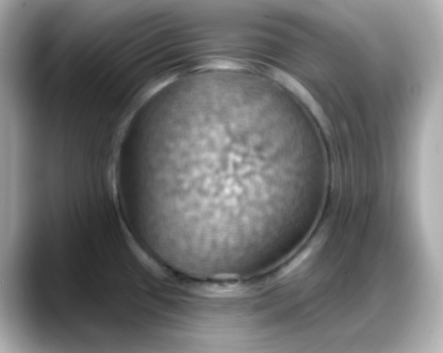 X0000088381433200706051051