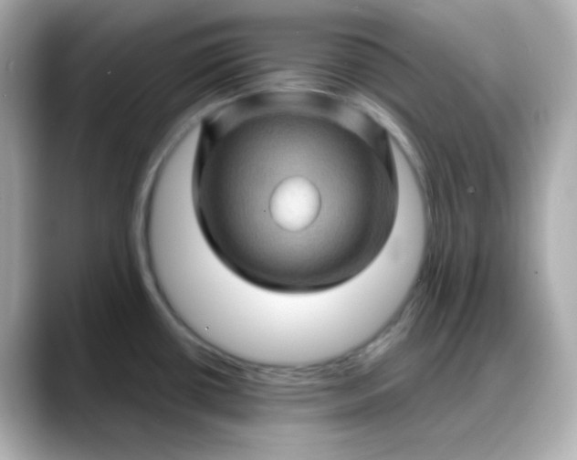 X0000088381434200706051051