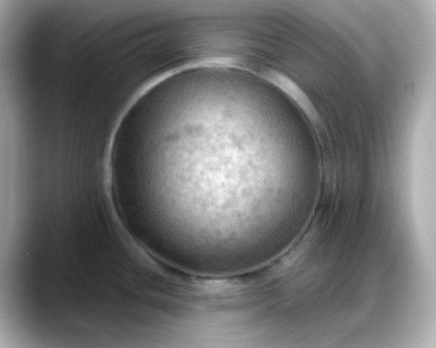 X0000088381436200706051051