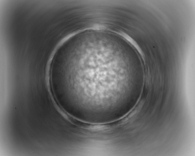 X0000088381437200706051051