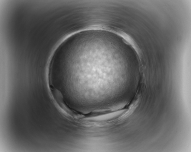 X0000088381438200706051051