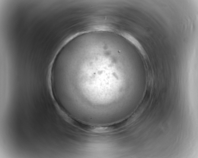 X0000088381439200706051051