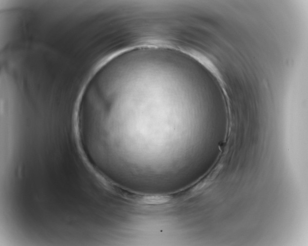 X0000088381440200706051051
