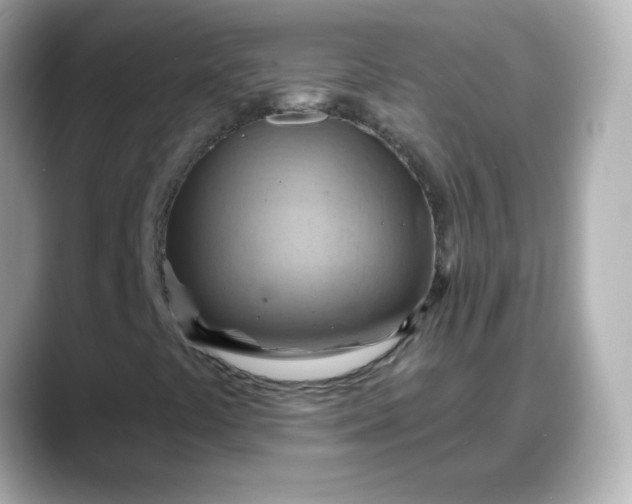 X0000088381441200706051051