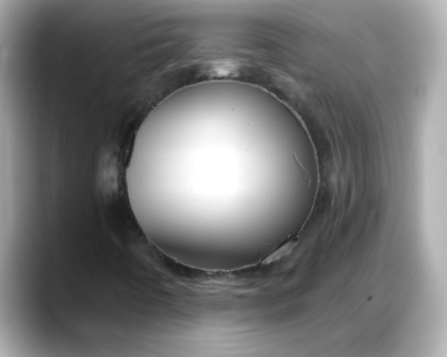 X0000088381442200706051051