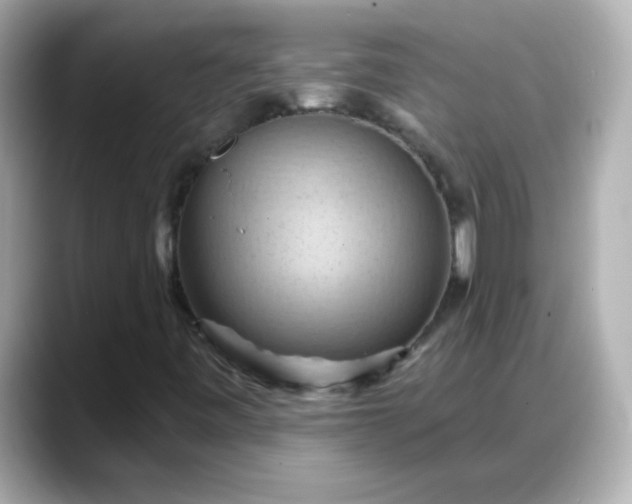 X0000088381443200706051051