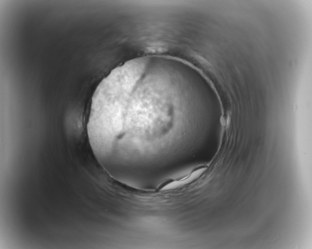 X0000088381444200706051051