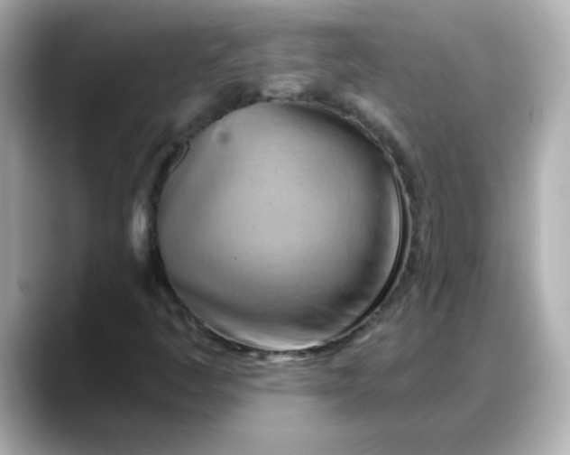 X0000088381445200706051051