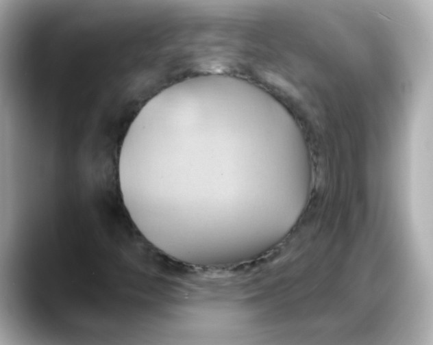 X0000088381446200706051051
