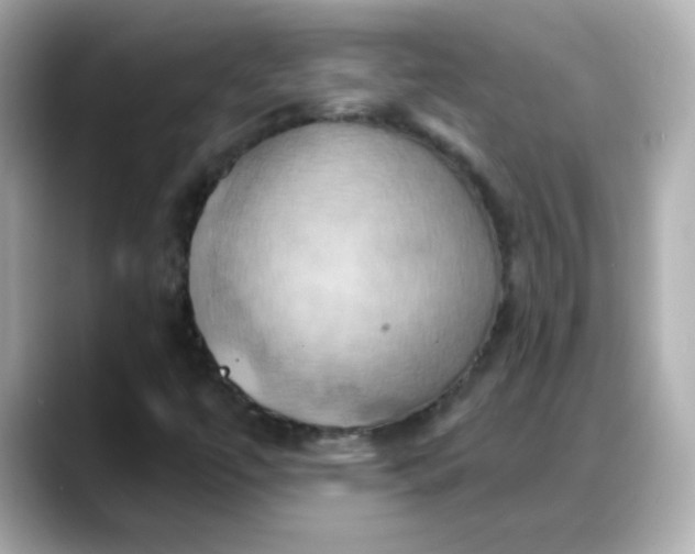 X0000088381447200706051051