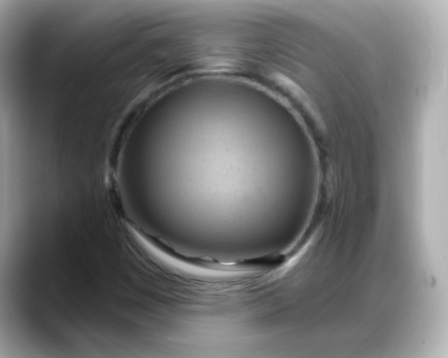 X0000088381449200706051051