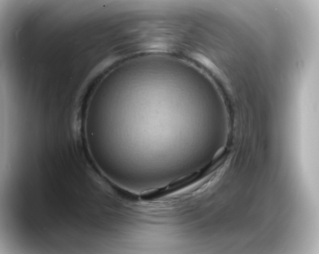 X0000088381450200706051051