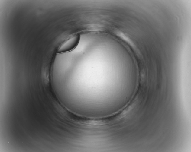 X0000088381451200706051051
