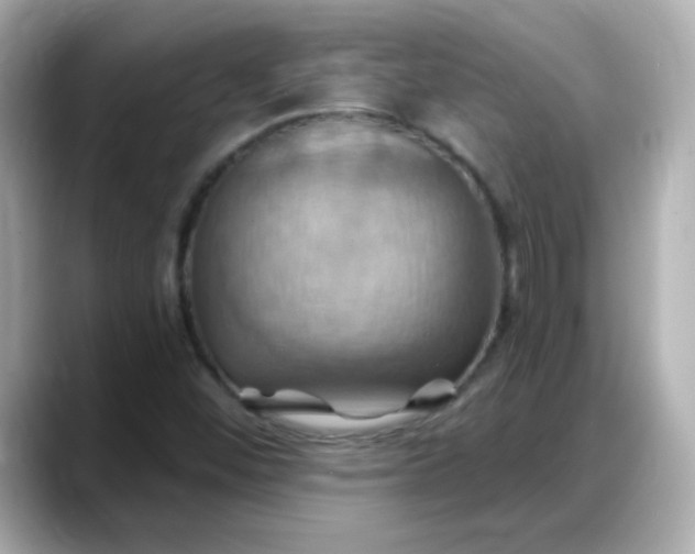 X0000088381452200706051051
