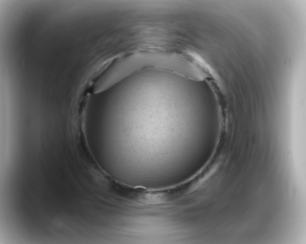 X0000088381453200706051051