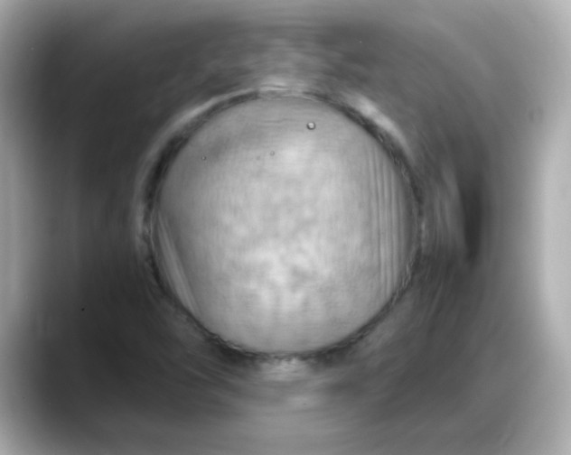 X0000088381454200706051051