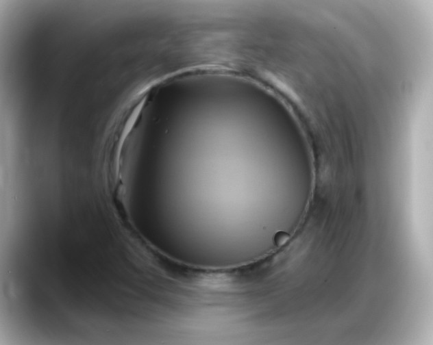 X0000088381455200706051051