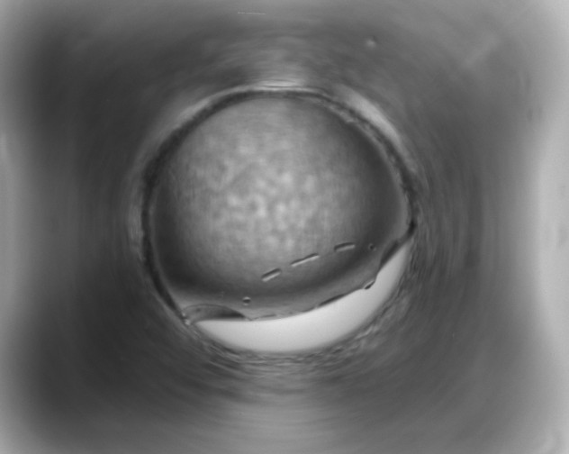 X0000088381456200706051051