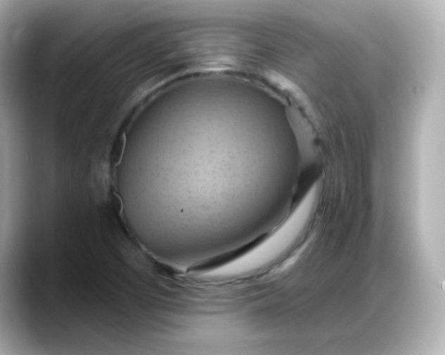 X0000088381457200706051051