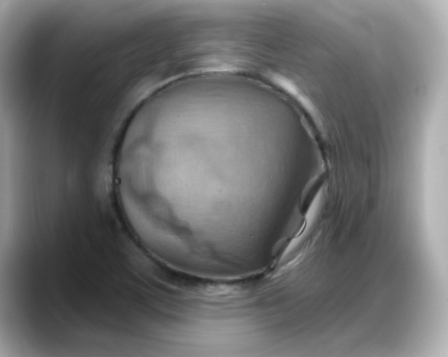 X0000088381459200706051051