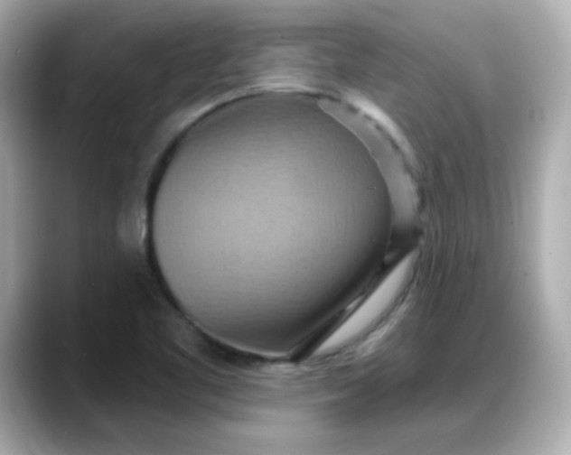 X0000088381461200706051050