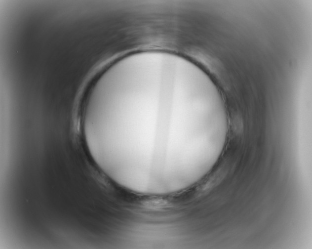 X0000088381462200706051050