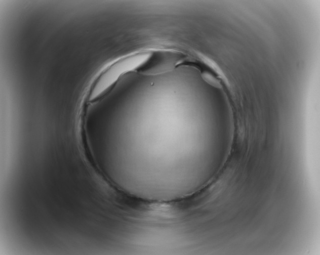 X0000088381463200706051050