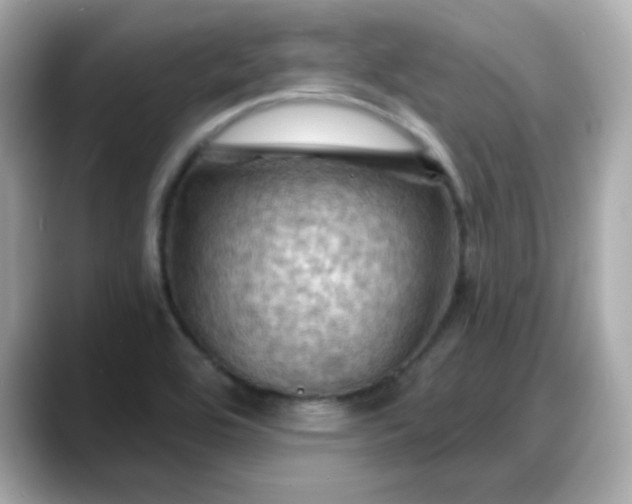 X0000088381464200706051050