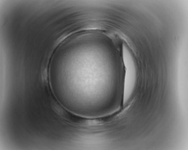 X0000088381465200706051050