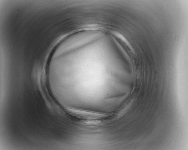 X0000088381466200706051050