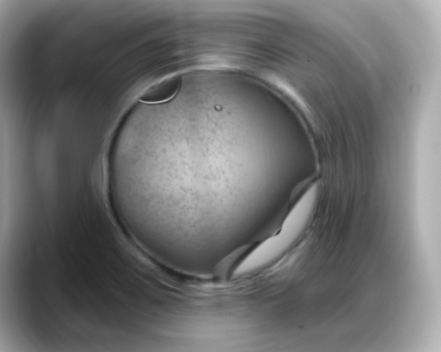 X0000088381467200706051050