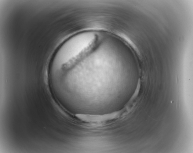 X0000088381468200706051050
