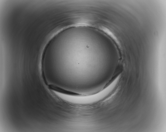 X0000088381469200706051050