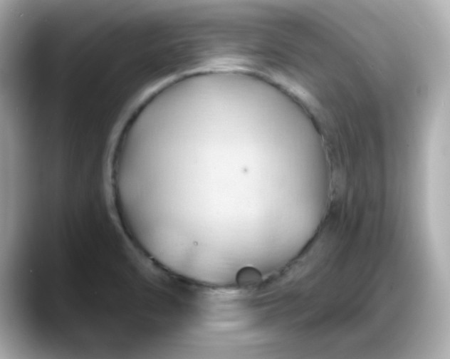 X0000088381470200706051050