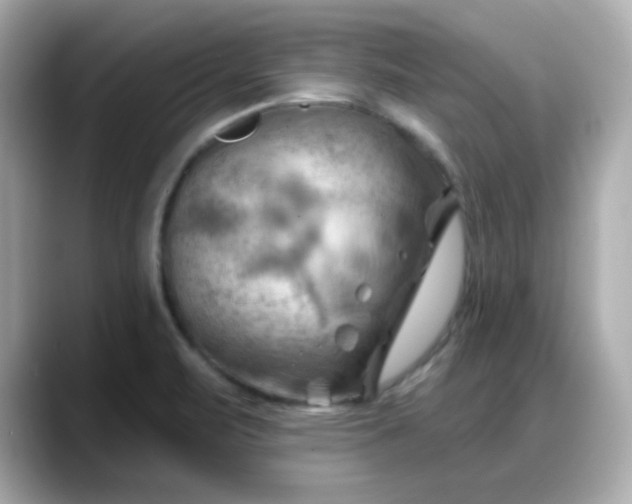 X0000088381471200706051050