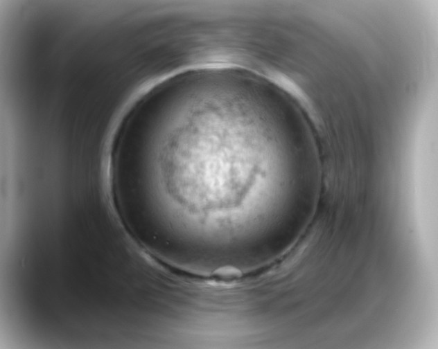 X0000088381472200706051050