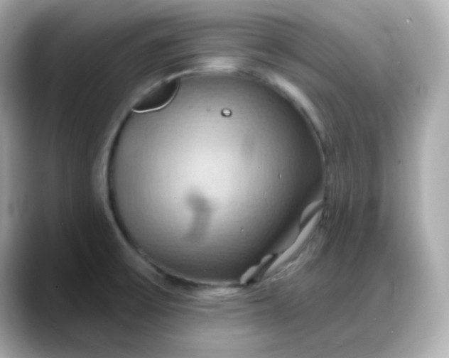 X0000088381475200706051050