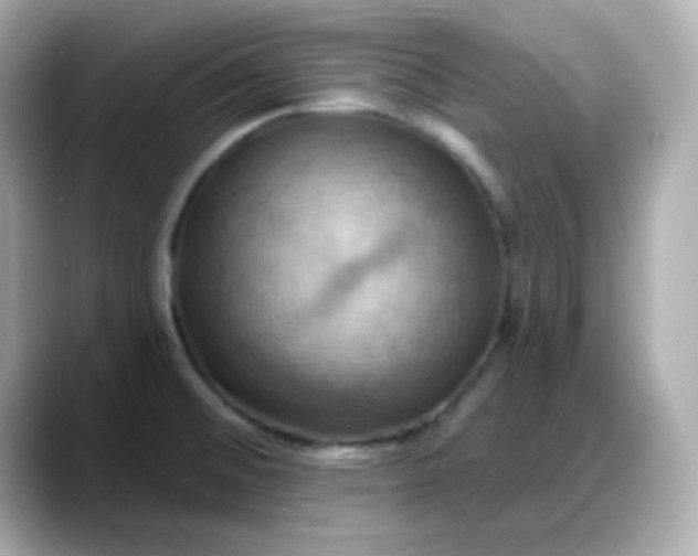 X0000088381476200706051050