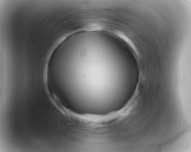 X0000088381477200706051050