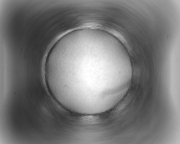X0000088381478200706051050