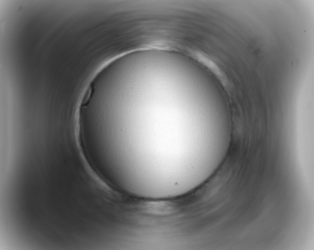 X0000088381479200706051050